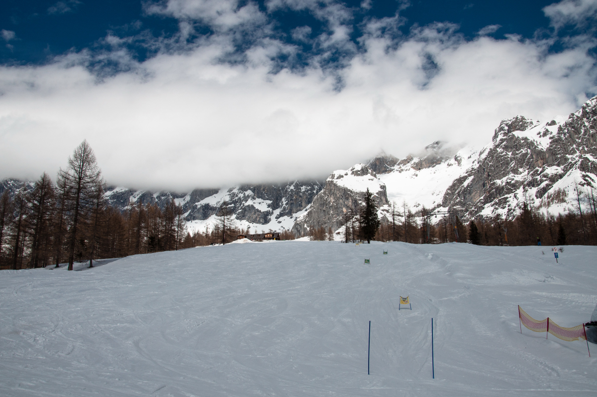 _dsc126410d1o.jpg