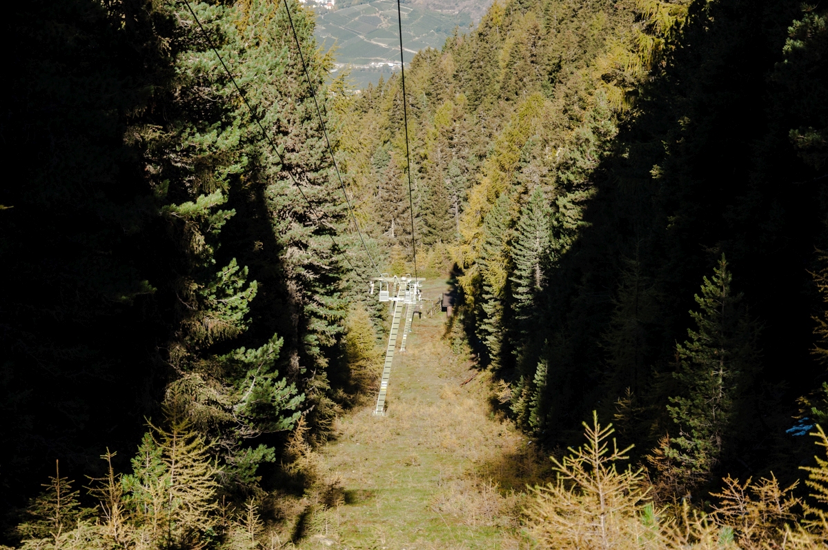 _dsc1268lvs99.jpg