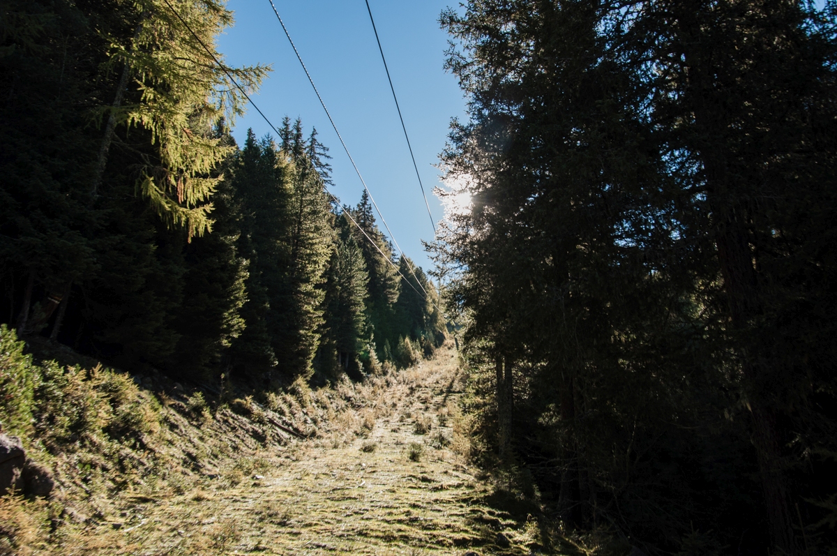 _dsc1274iysjq.jpg