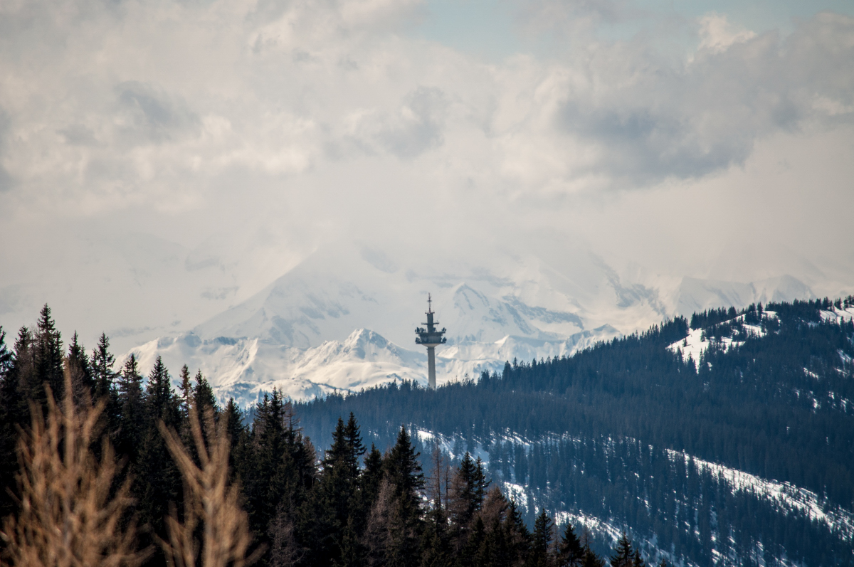 _dsc1289rxdmt.jpg