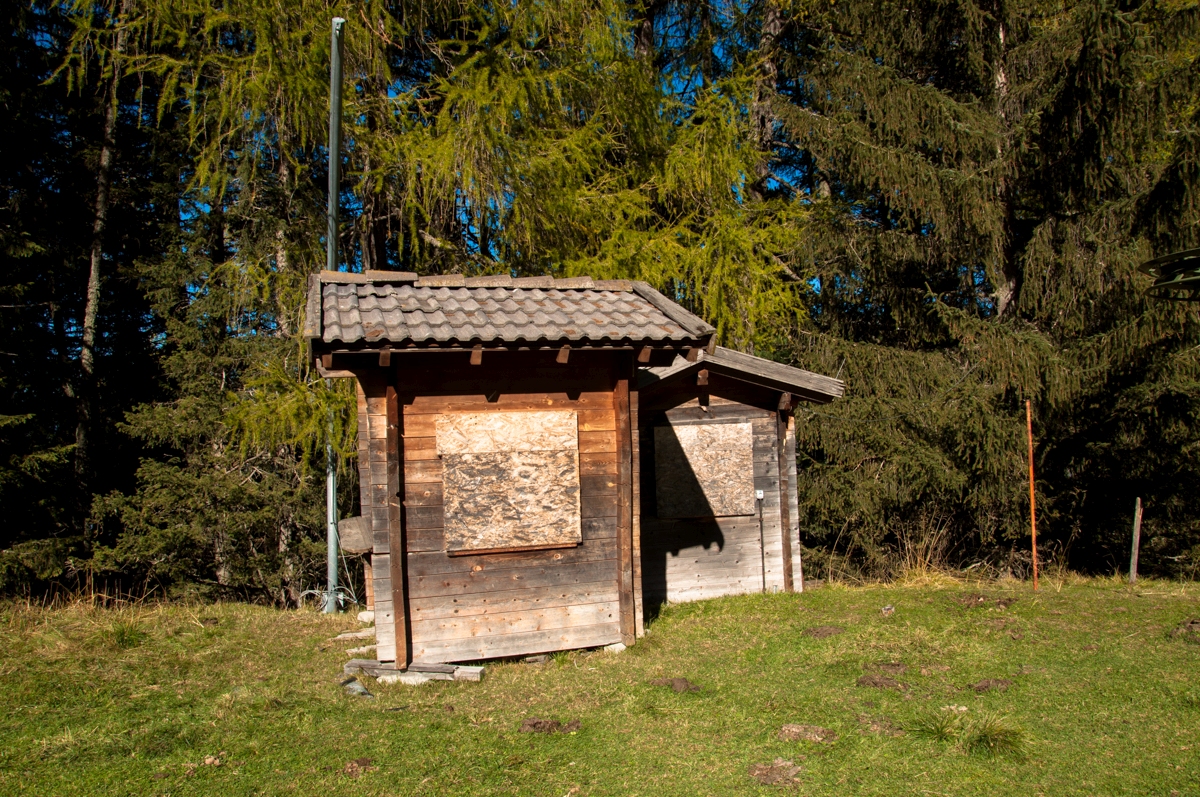 _dsc1317j9jug.jpg