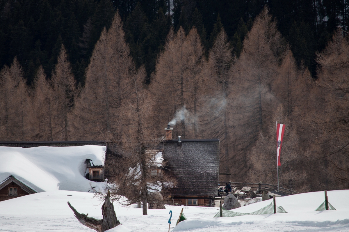 _dsc1319qtcve.jpg