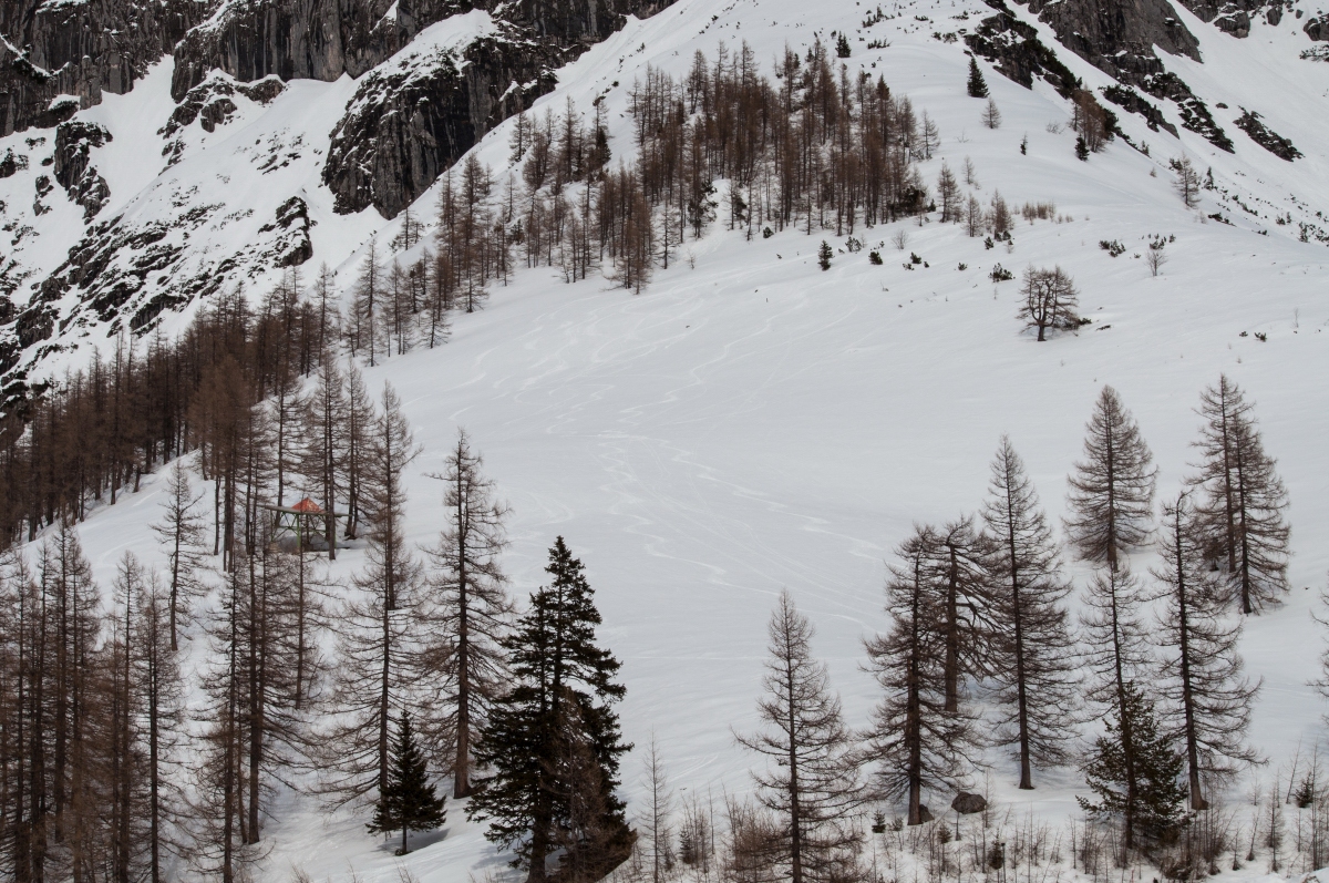 _dsc1324jkfuz.jpg