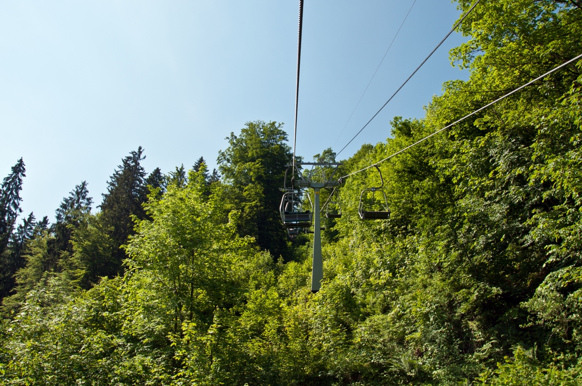 _dsc1332vgavz.jpg