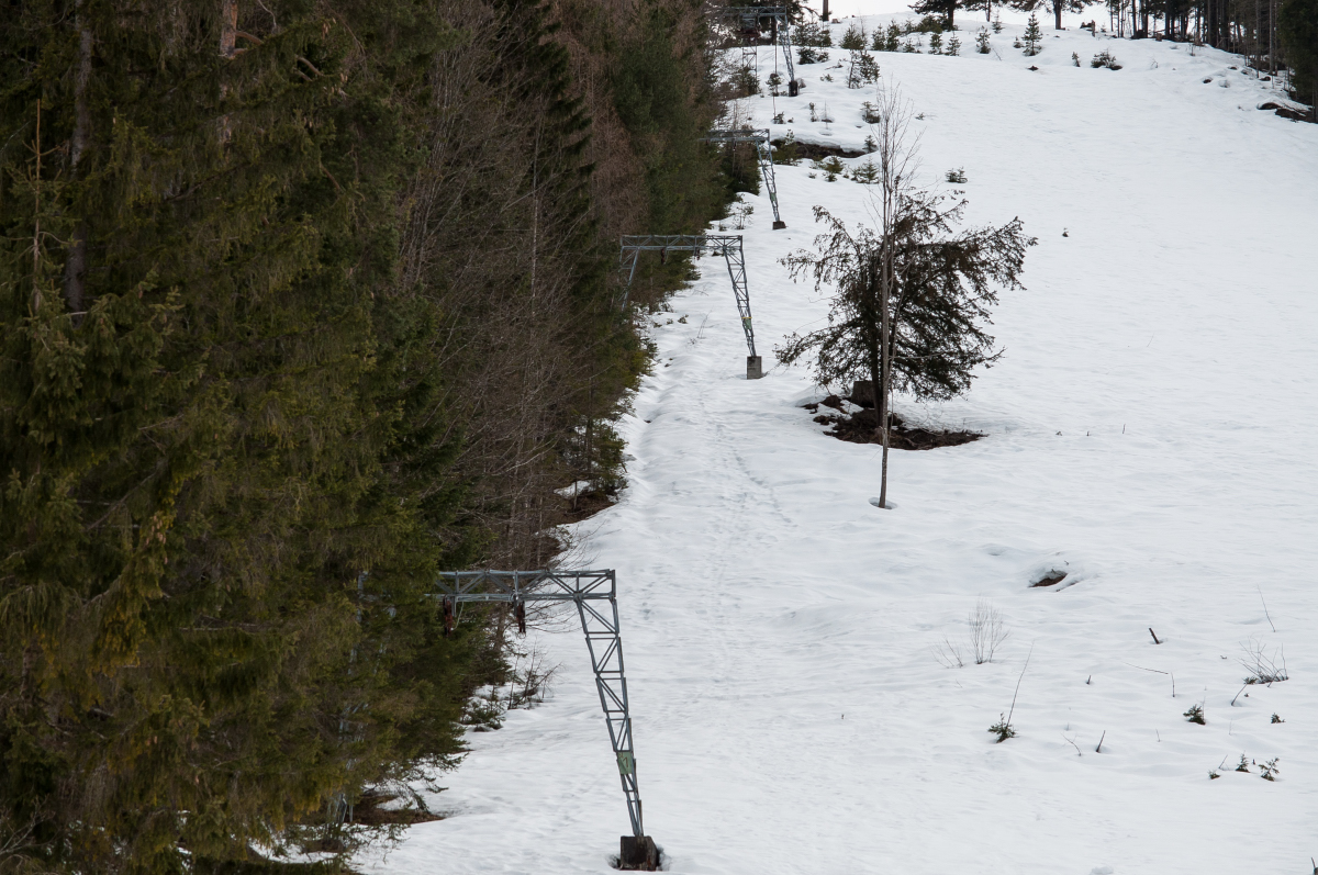 _dsc13514ec8r.jpg