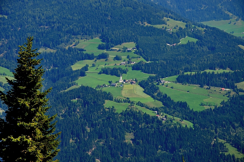 dsc_0246wvulm.jpg
