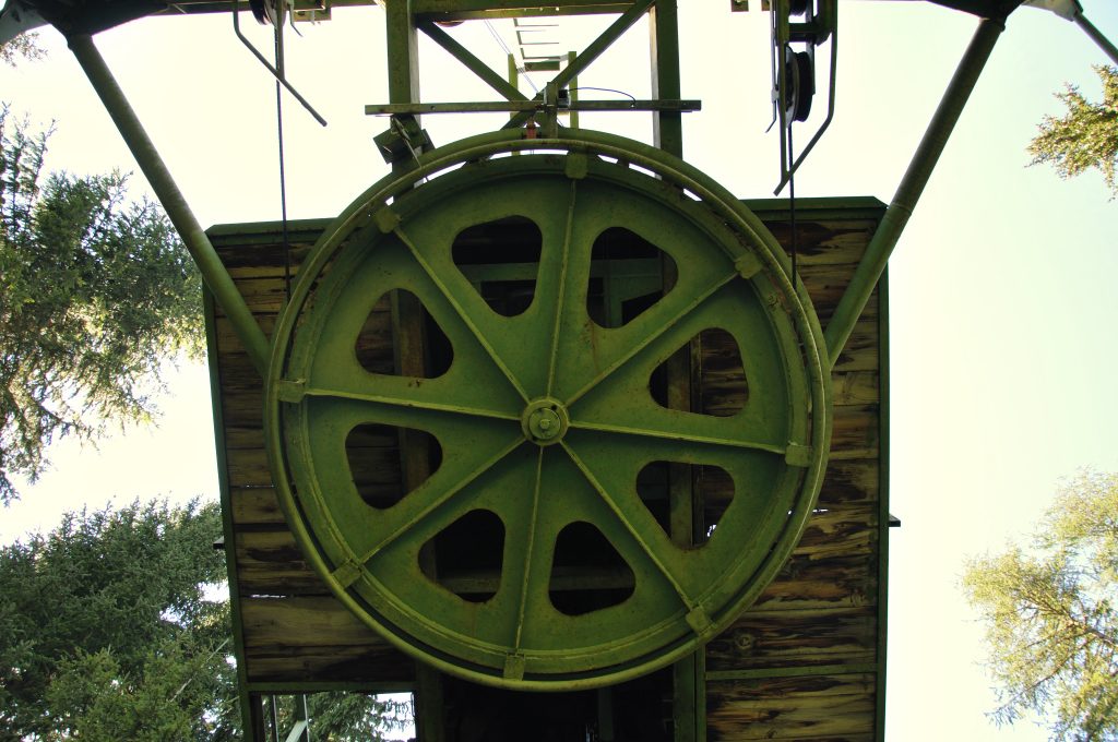dsc_03098quqd.jpg