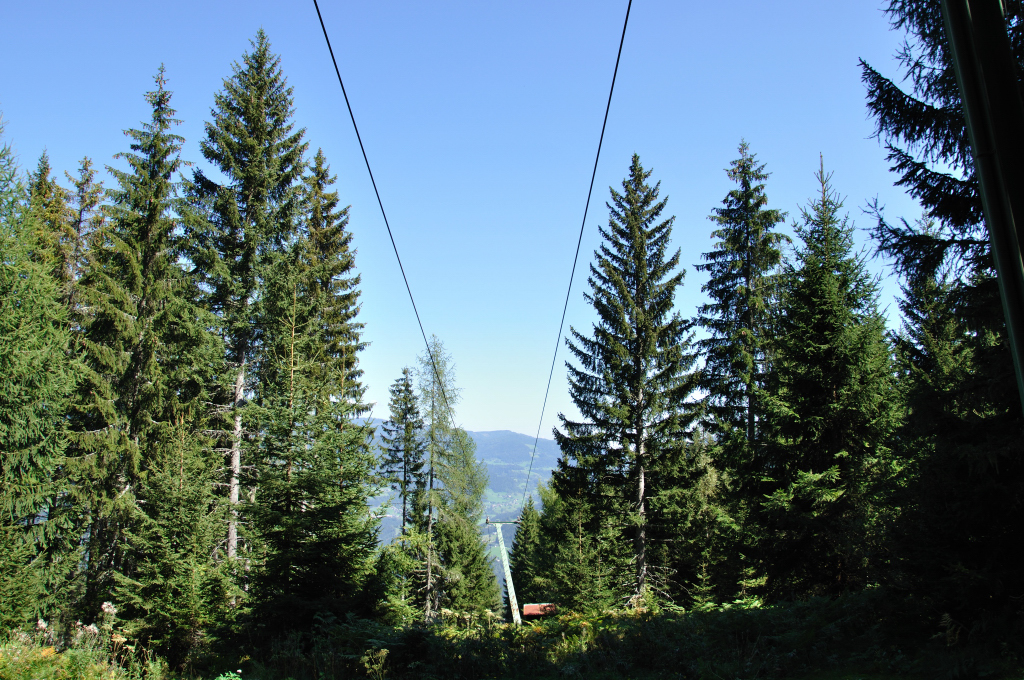 dsc_0313xeur1.jpg