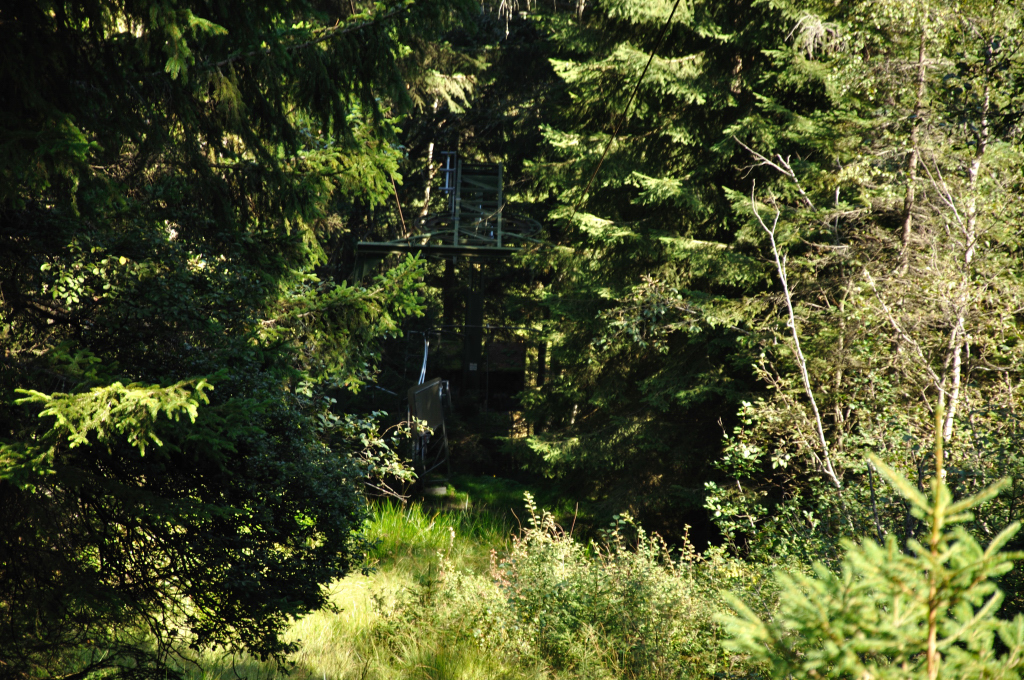 dsc_034233uca.jpg