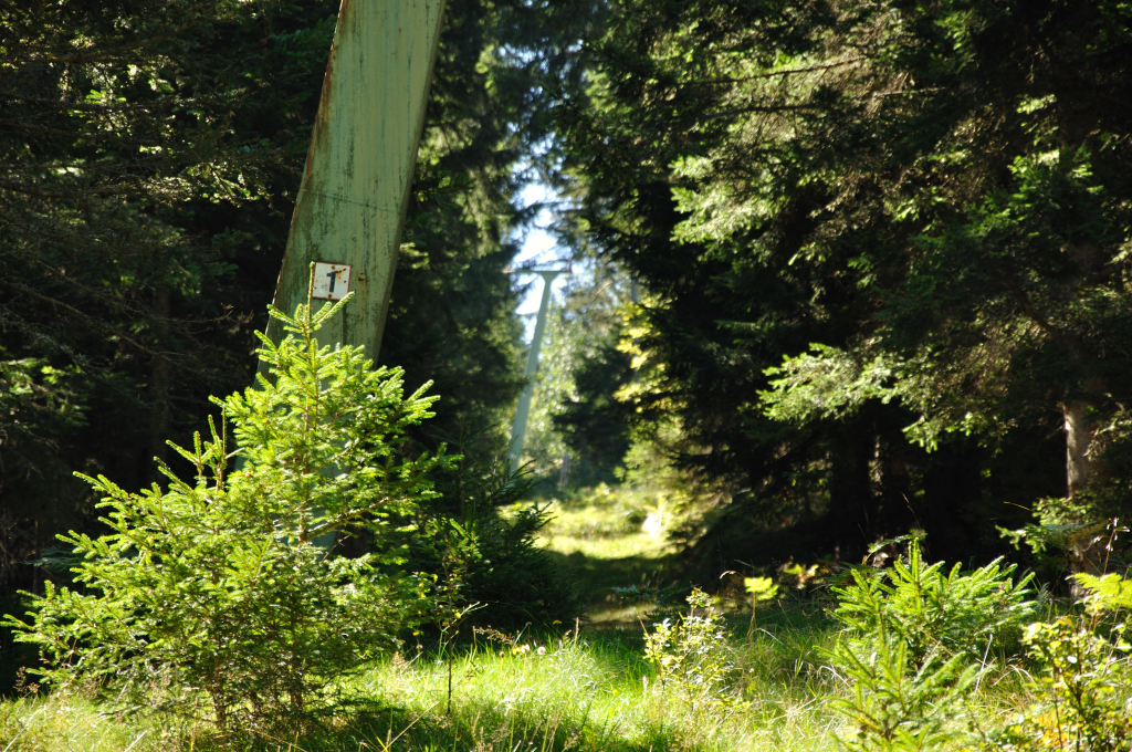 dsc_0353z4rpq.jpg