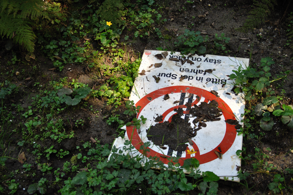 dsc_0358qkrgw.jpg