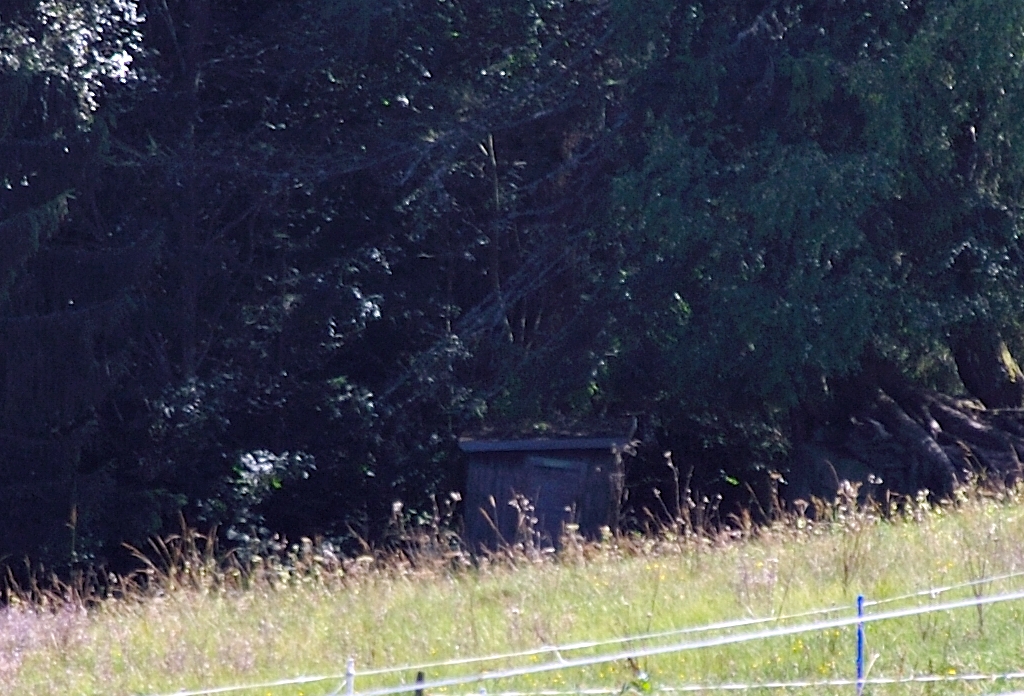 dsc_0418ofk26.jpg