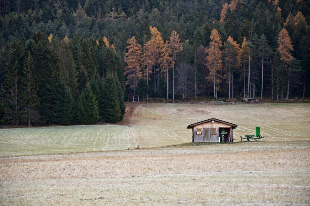 dsc_059679sla.jpg