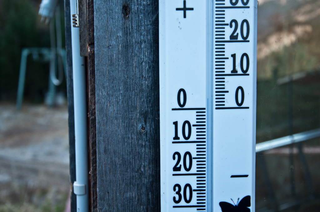 dsc_0626ozsqb.jpg