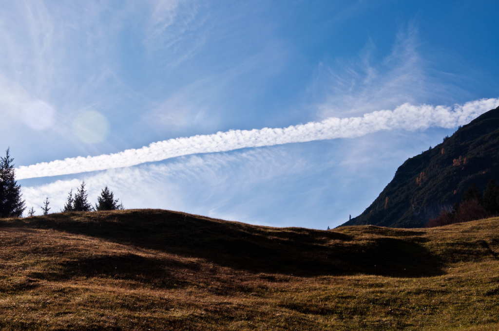 dsc_0693dxu0v.jpg