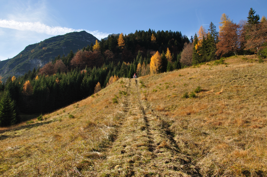 dsc_0694qnuta.jpg