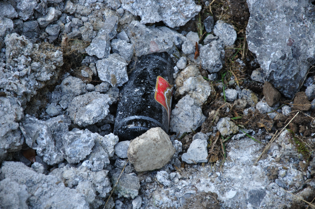 dsc_072360ucv.jpg