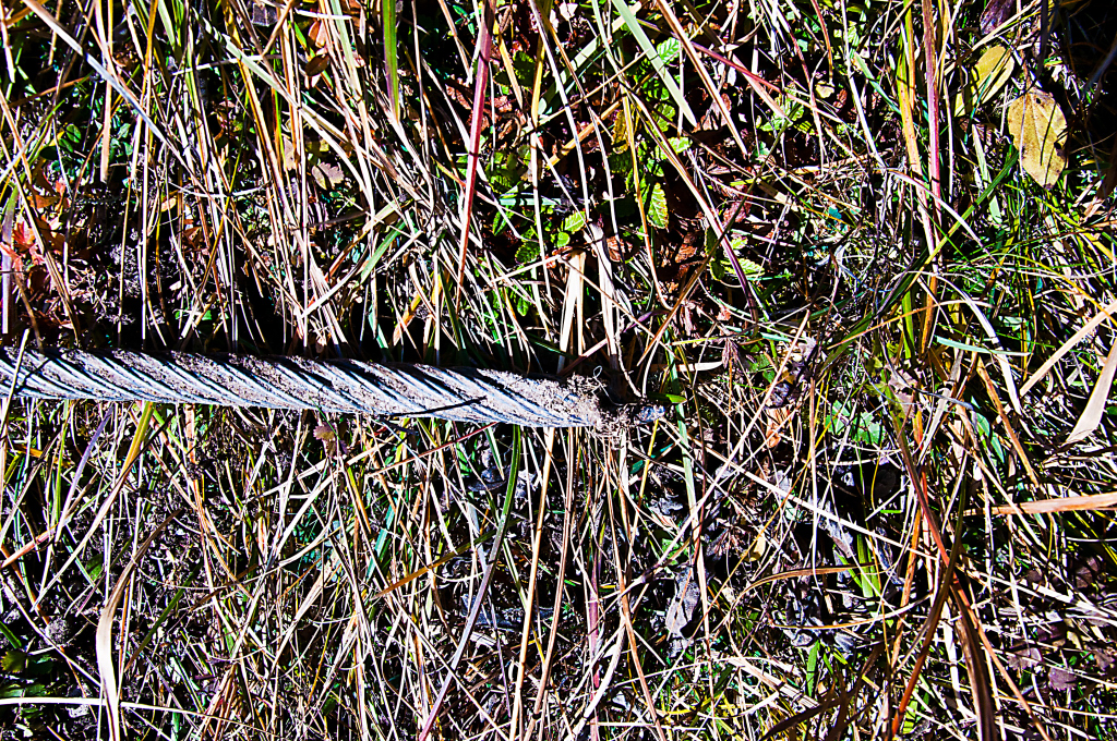 dsc_0726qrakq.jpg
