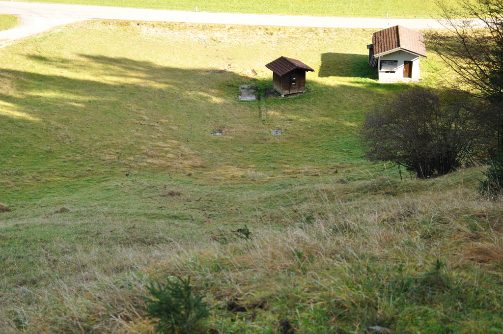 dsc_0740rllf0.jpg