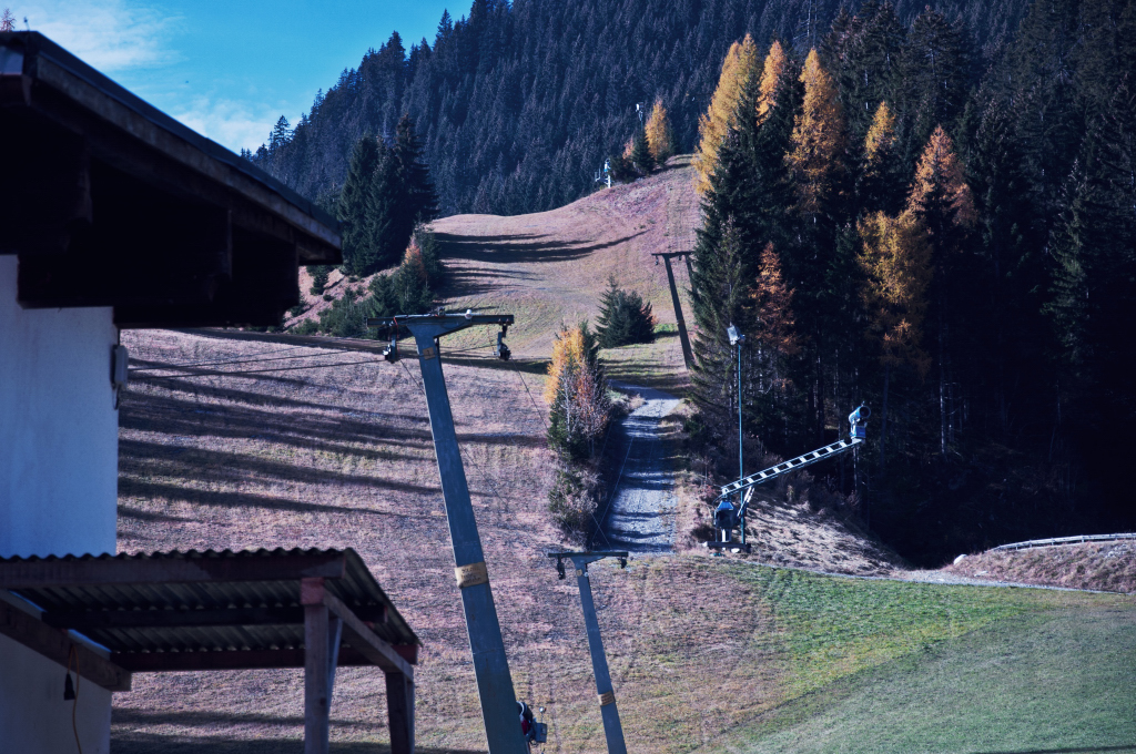 dsc_0785gnyem.jpg