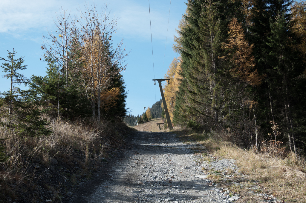dsc_0796mqxam.jpg