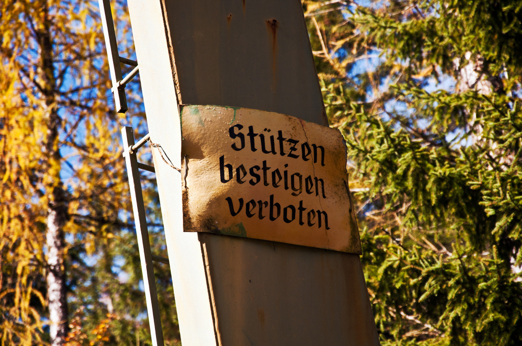 dsc_0800y8zq5.jpg
