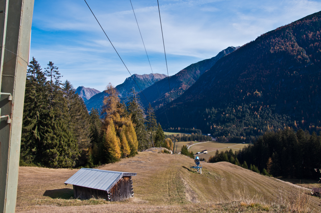 dsc_081876zfb.jpg