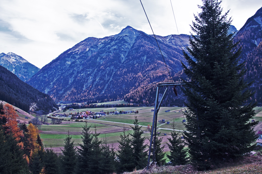 dsc_08688aqck.jpg