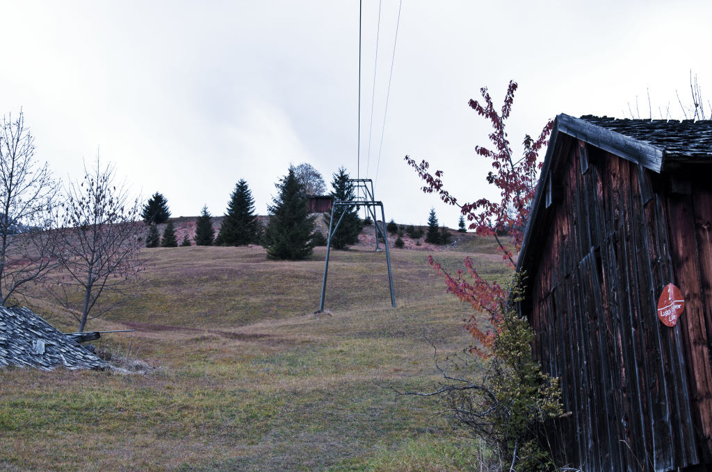 dsc_08731kqm3.jpg