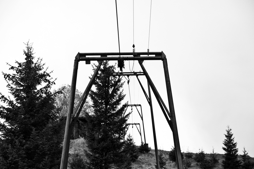 dsc_0879b3qfy.jpg