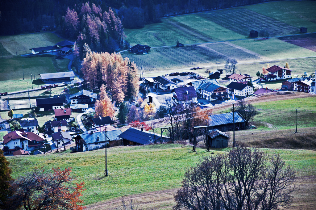 dsc_0965o2syp.jpg