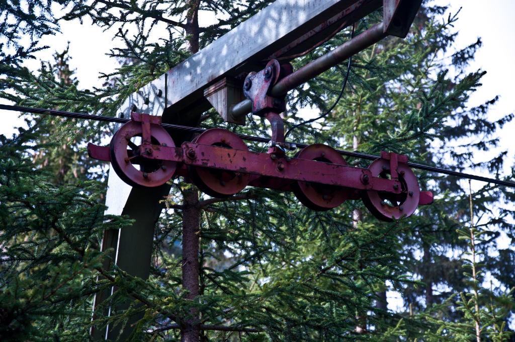 dsc_1006f4sg8.jpg