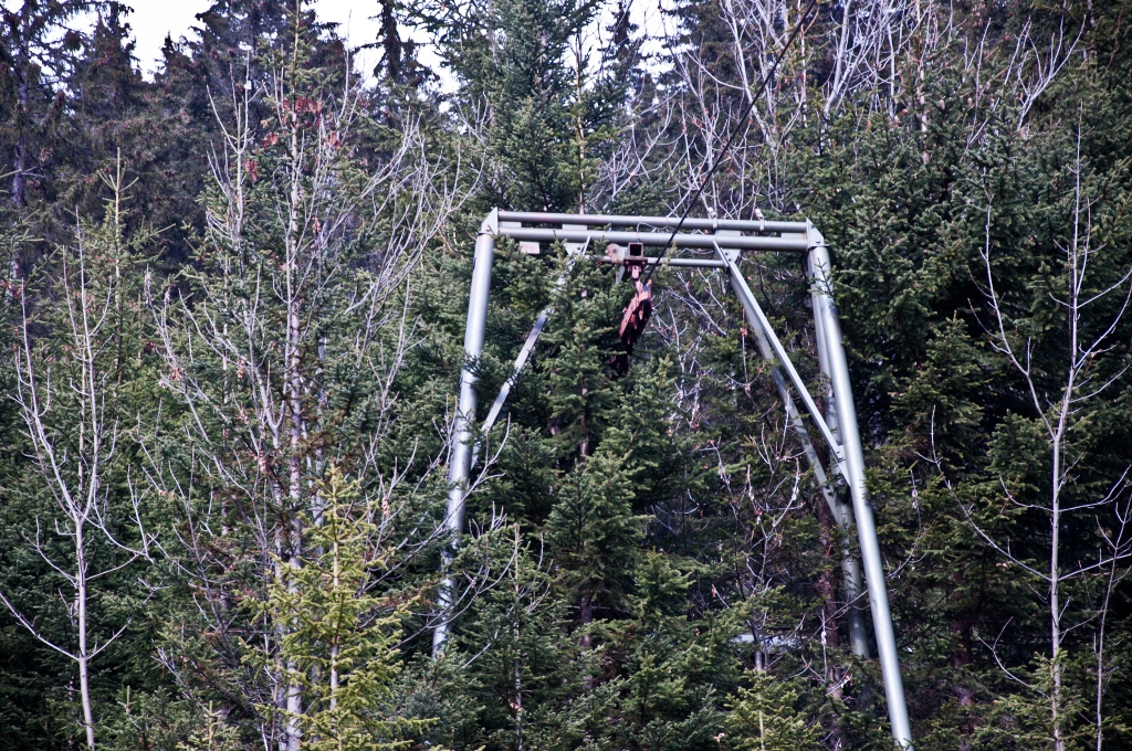 dsc_1023ykswv.jpg