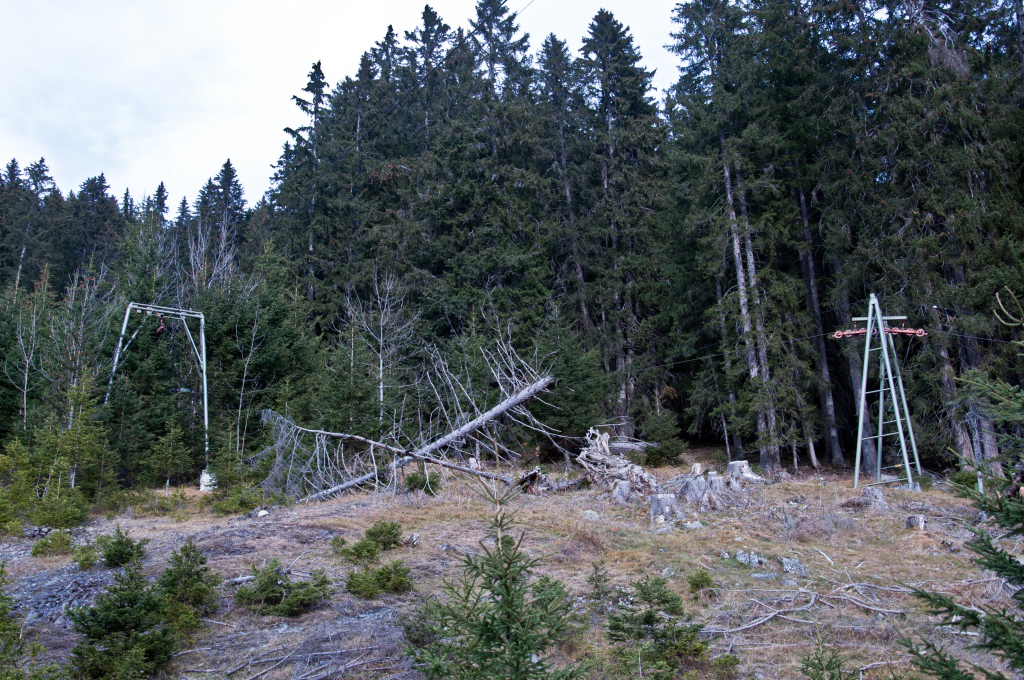 dsc_102704s3u.jpg