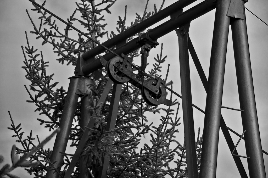 dsc_1075z8o2t.jpg