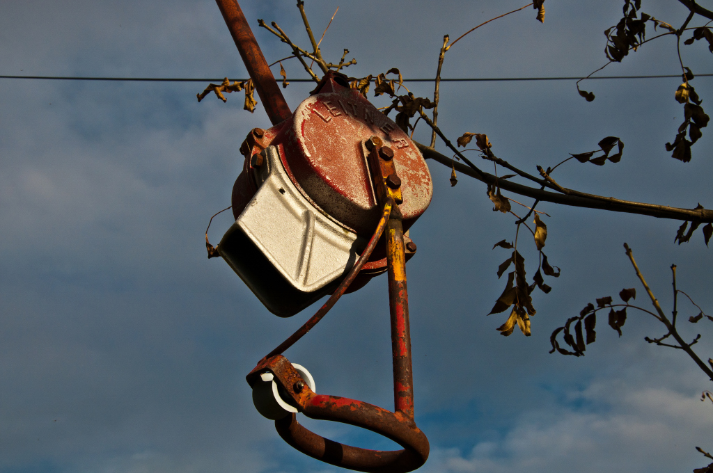 dsc_10976fqqy.jpg