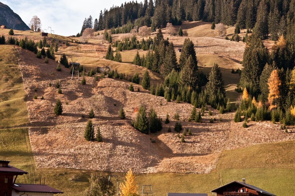 dsc_1117m8rei.jpg