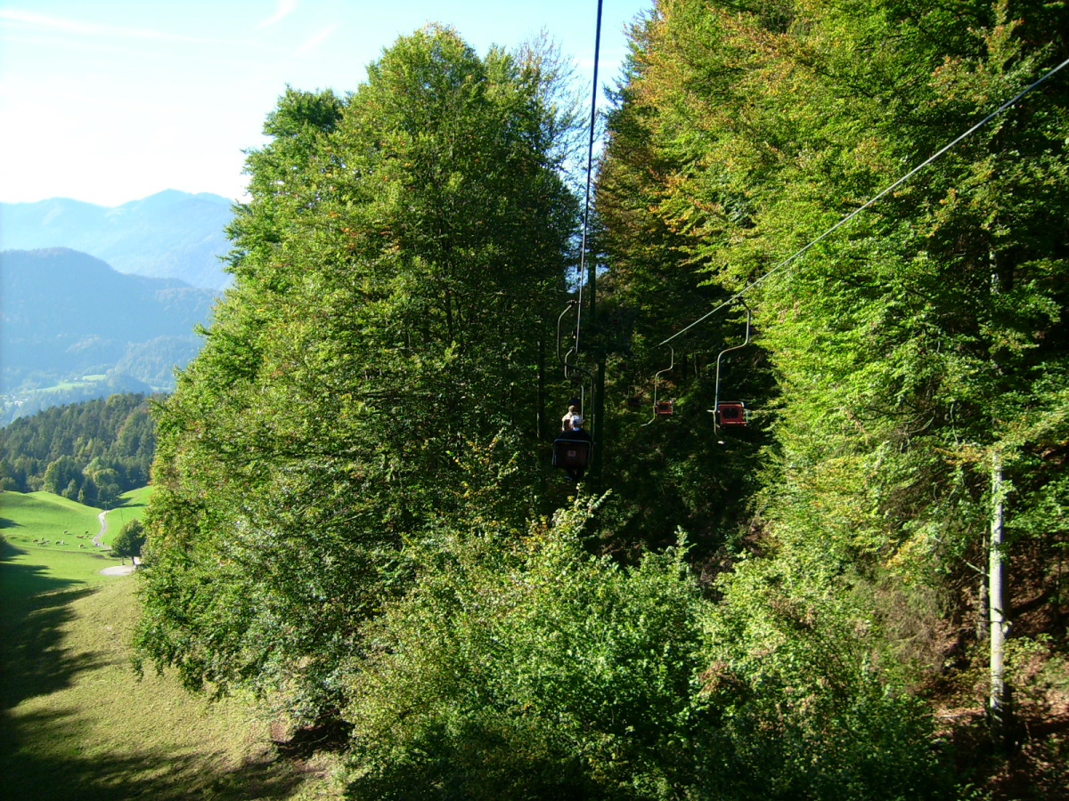 jd500203_20102eyc0.jpg