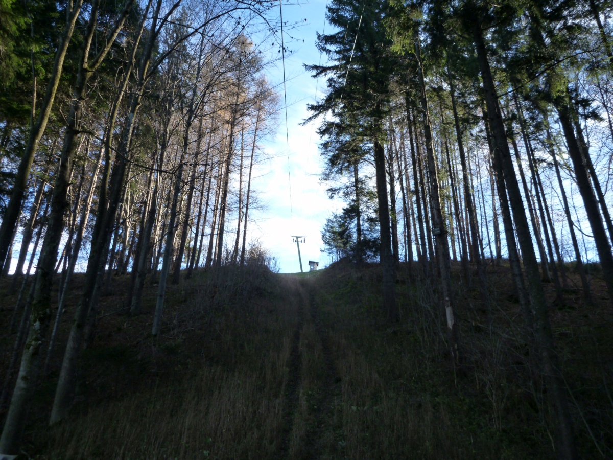 p1030780eckn4.jpg
