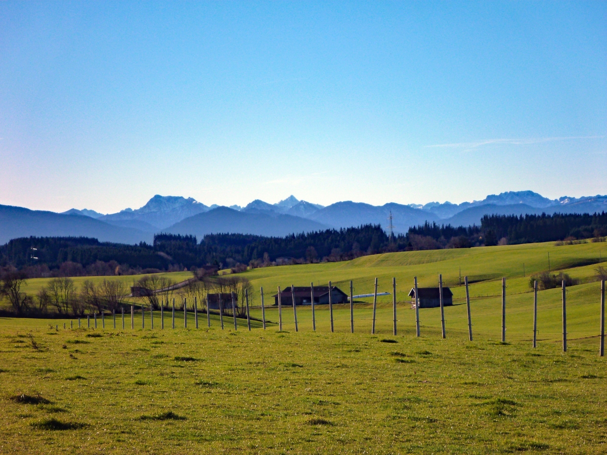p1030801y6kgk.jpg
