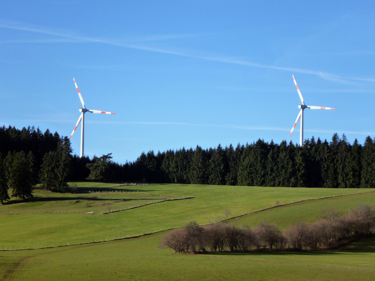 p10308108fjfs.jpg