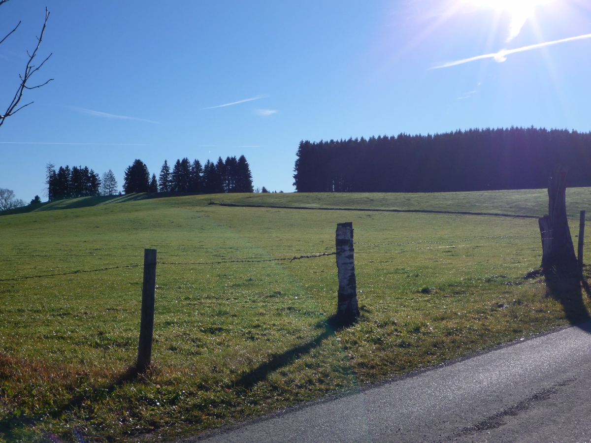 p1030811osjtk.jpg