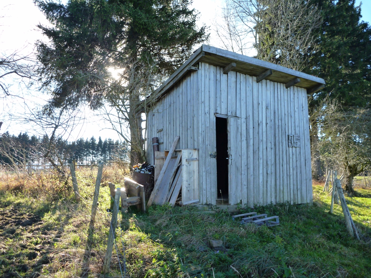 p1030820xoj1e.jpg