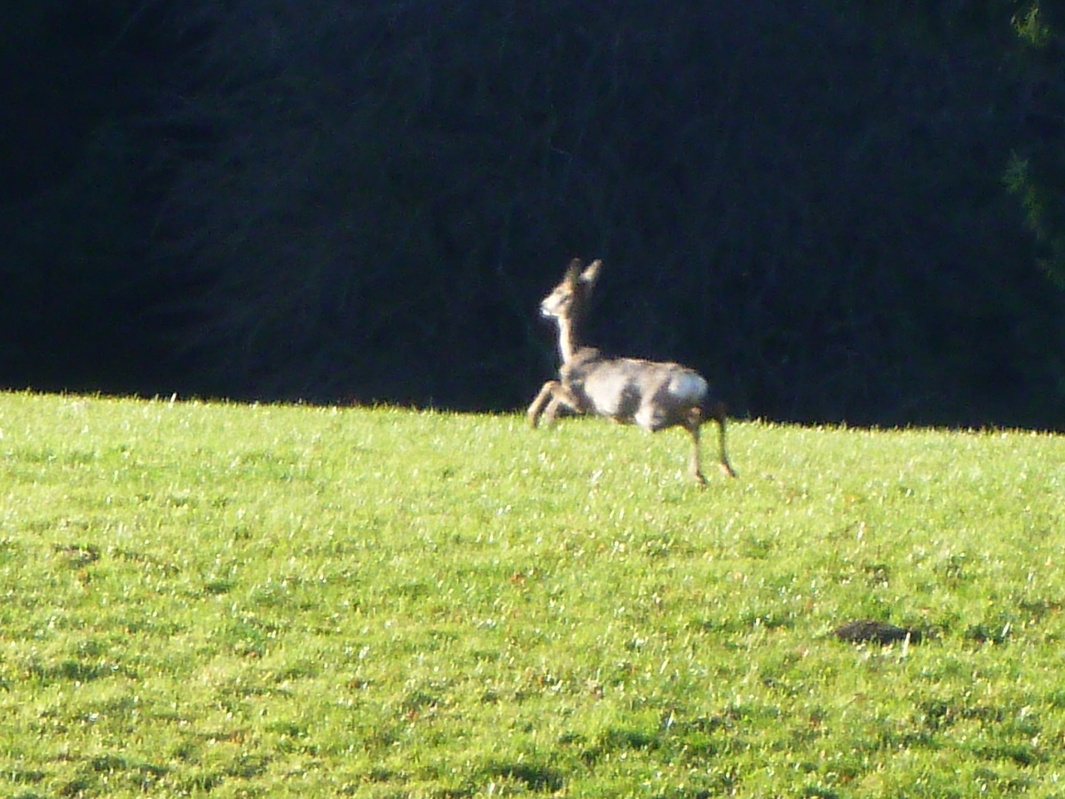 p1030826h8kwv.jpg