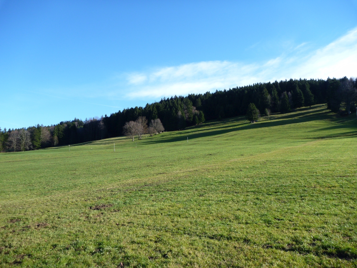 p10401931xkwk.jpg