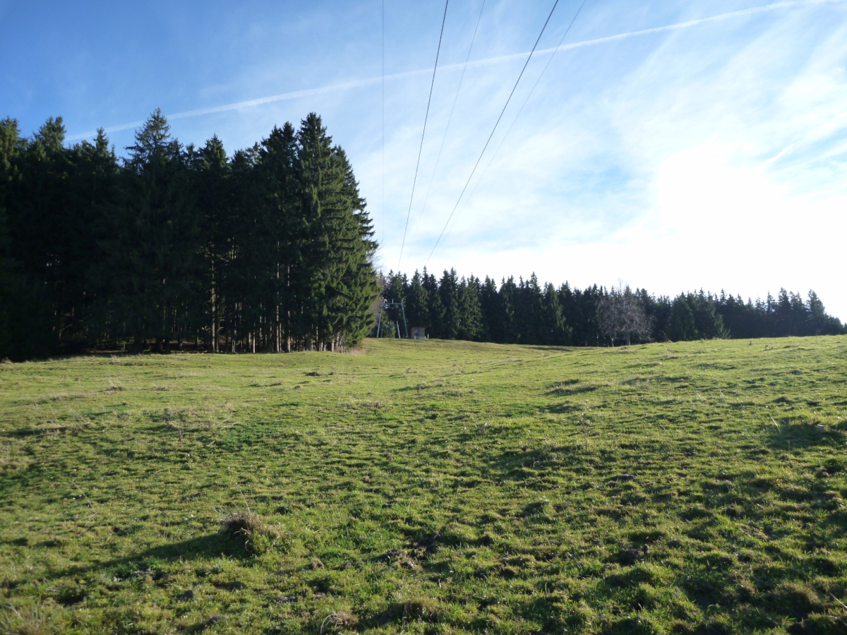 p1040241g7k5a.jpg