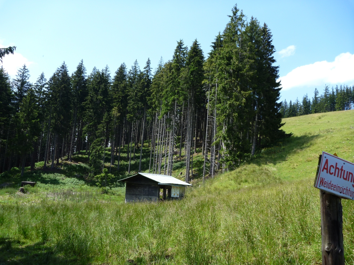 p1190296pqkth.jpg