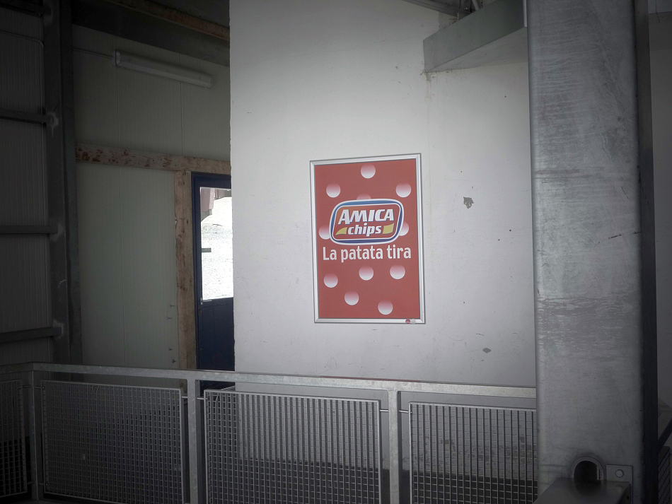 p122052749sws.jpg