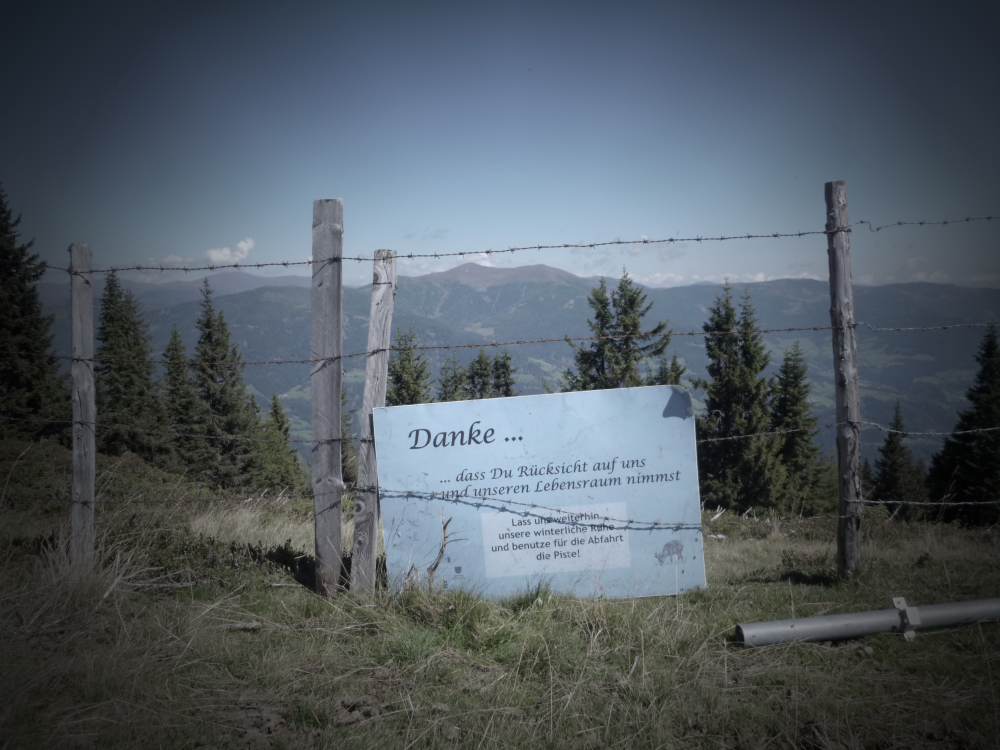 p1230213t0u07.jpg