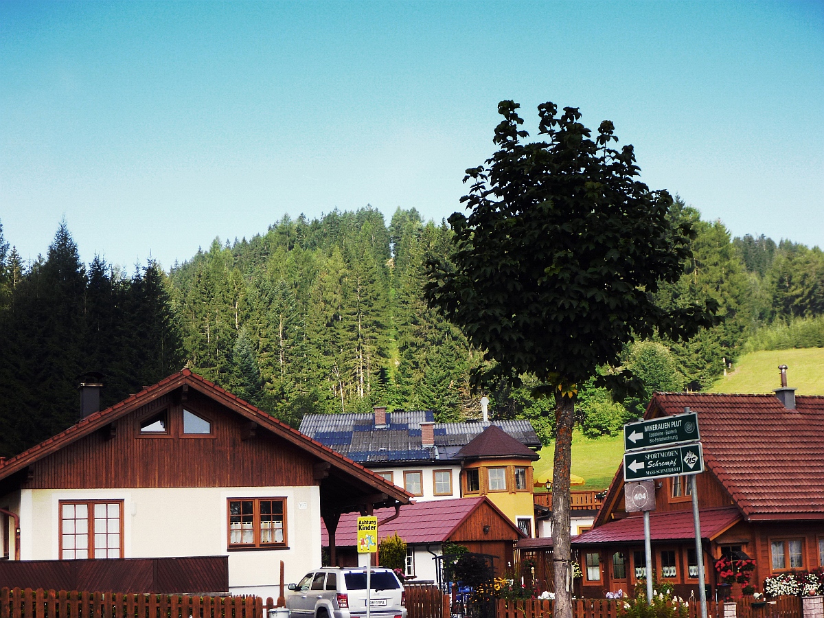 p1280626t2p5f.jpg